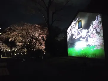 六義園に投稿された画像（2026/3/19）