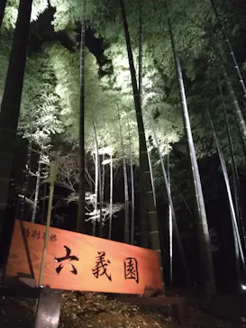 六義園に投稿された画像（2026/3/19）