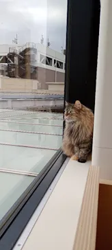 Cat Café MOFF グランベリーパーク店に投稿された画像（2026/3/19）