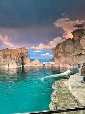 名古屋港水族館に投稿された画像（2026/3/20）