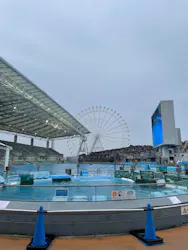 名古屋港水族館に投稿された画像（2026/3/20）