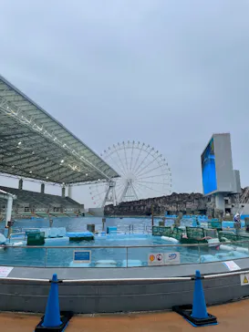 名古屋港水族館に投稿された画像（2026/3/20）