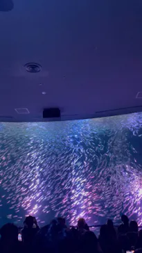 名古屋港水族館に投稿された画像（2026/3/20）