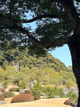 足立美術館に投稿された画像（2026/3/20）