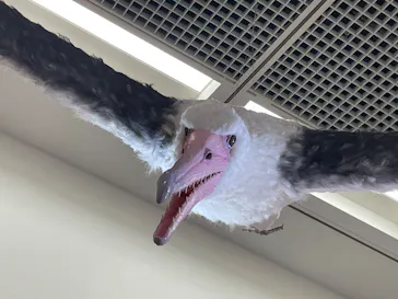 特別展「鳥 ～ゲノム解析が解き明かす新しい鳥類の系統～」に投稿された画像（2026/3/20）