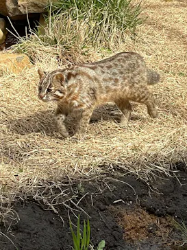 那須どうぶつ王国に投稿された画像（2026/3/20）