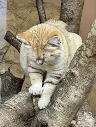 那須どうぶつ王国に投稿された画像（2026/3/20）