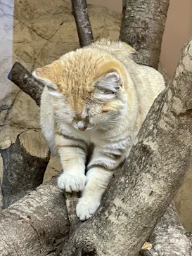 那須どうぶつ王国に投稿された画像（2026/3/20）