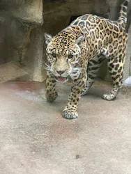 那須どうぶつ王国に投稿された画像（2026/3/20）