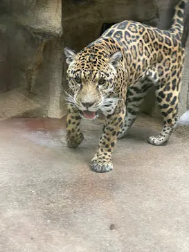 那須どうぶつ王国に投稿された画像（2026/3/20）