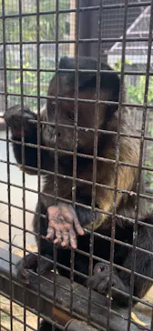 ANIMAL WONDER REZOURT 市原ぞうの国・サユリワールドに投稿された画像（2026/3/20）