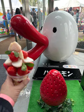 OSAKA Strawberry Festivalに投稿された画像（2026/3/20）