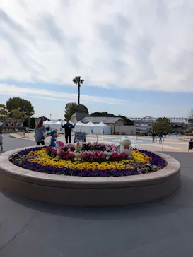 鈴鹿サーキットに投稿された画像（2026/3/20）