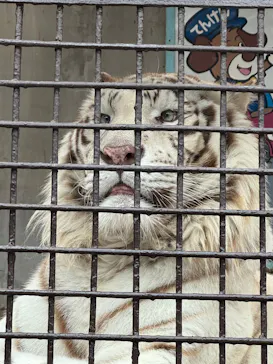 宇都宮動物園に投稿された画像（2026/3/20）