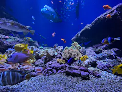 仙台うみの杜水族館に投稿された画像（2026/3/20）