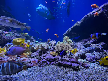 仙台うみの杜水族館に投稿された画像（2026/3/20）