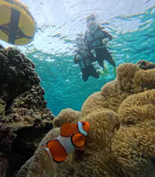 COCO宮古島に投稿された画像（2026/3/20）