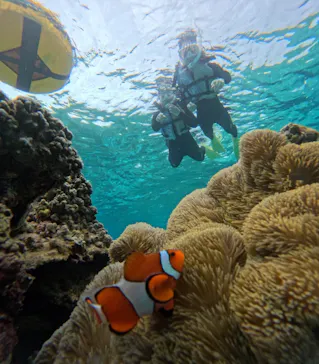 COCO宮古島に投稿された画像（2026/3/20）