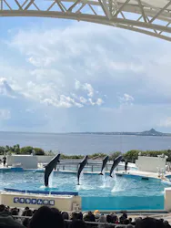 沖縄美ら海水族館に投稿された画像（2026/3/20）