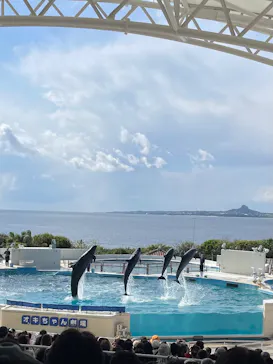 沖縄美ら海水族館に投稿された画像（2026/3/20）