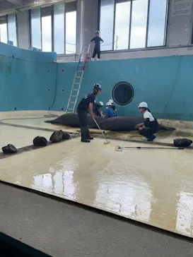 沖縄美ら海水族館に投稿された画像（2026/3/20）