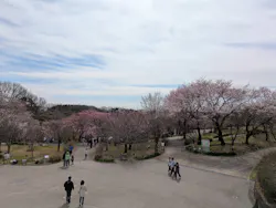 名古屋市東山動植物園に投稿された画像（2026/3/20）