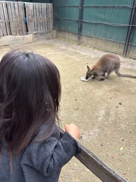 宇都宮動物園に投稿された画像（2026/3/20）