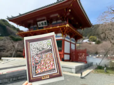 勝尾寺に投稿された画像（2026/3/20）