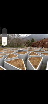 彫刻の森美術館に投稿された画像（2026/3/20）