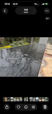 彫刻の森美術館に投稿された画像（2026/3/20）