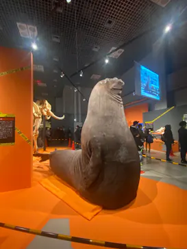 特別展「超危険生物展　科学で挑む生き物の本気」に投稿された画像（2026/3/20）