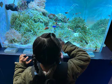 マクセル アクアパーク品川に投稿された画像（2026/3/20）