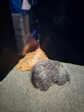 サンシャイン水族館に投稿された画像（2026/3/20）