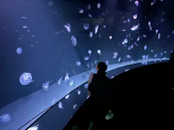 サンシャイン水族館に投稿された画像（2026/3/20）