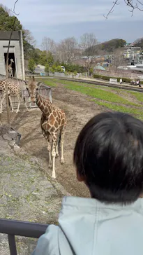 名古屋市東山動植物園に投稿された画像（2026/3/20）