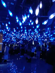 AQUARIUM × ART　atoa×神戸ポートタワーに投稿された画像（2026/3/20）