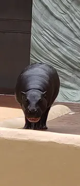 恩賜上野動物園に投稿された画像（2026/3/20）