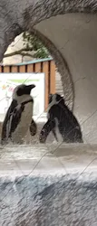 恩賜上野動物園に投稿された画像（2026/3/20）