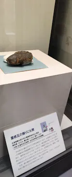 広島城に投稿された画像（2026/3/20）