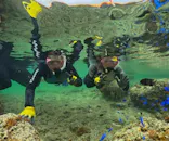 武藤潜水に投稿された画像（2026/3/20）