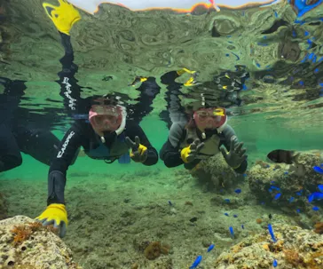 武藤潜水に投稿された画像（2026/3/20）