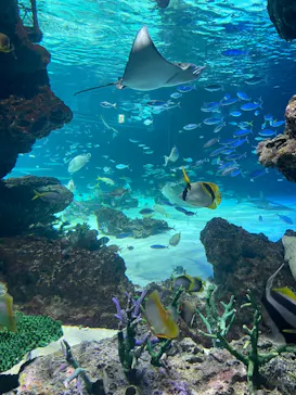 サンシャイン水族館に投稿された画像（2026/3/20）