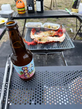 偕楽園本園に投稿された画像（2026/3/20）