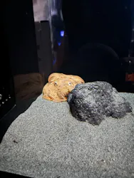 サンシャイン水族館に投稿された画像（2026/3/20）