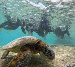 マーレ宮古島に投稿された画像（2026/3/20）