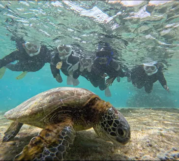 マーレ宮古島に投稿された画像（2026/3/20）