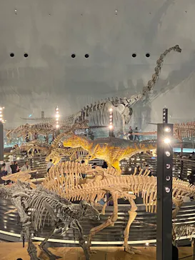 福井県立恐竜博物館に投稿された画像（2026/3/20）