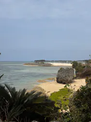 ジャンボツアーズに投稿された画像（2026/3/20）