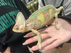 いきもの探検隊上尾に投稿された画像（2026/3/20）