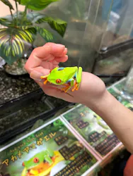 いきもの探検隊上尾に投稿された画像（2026/3/20）